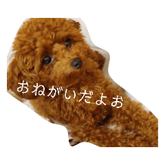 chaco_20220515115452