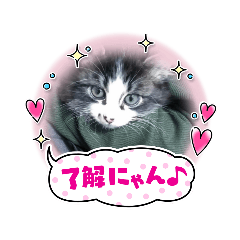 arisa_20220515085956