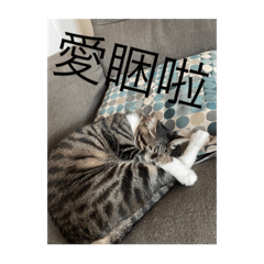 Candy cookies 大集合