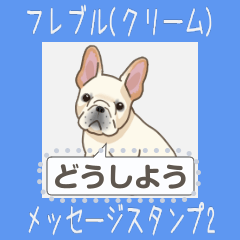 French Bulldog(Cream) - msg(jp)2