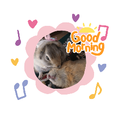 leonmama_20220514200721