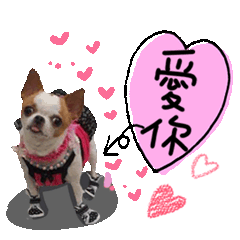 球球的日常貼圖