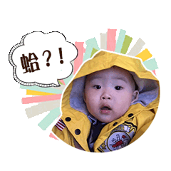 迷你港仔Nick Nick