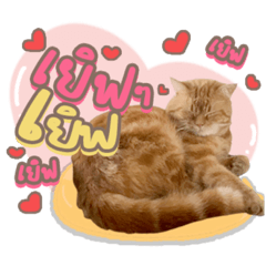 Iamnook_20220515072428