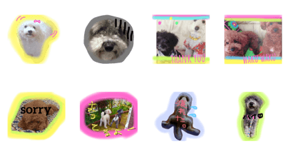 my dogs 2
