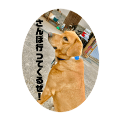 Yuto_20220515075254