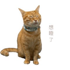 尼寶生活篇