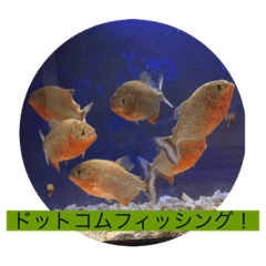 dottokomufissingu_20220515134430