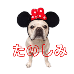 Sayuri_20220515144550