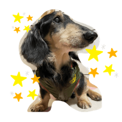 SAYURI_20220515173713