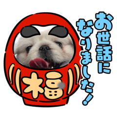 Yukinu_20220515174615