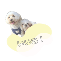 Mizuki_20220515174935