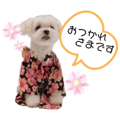 Naho_20220515174139