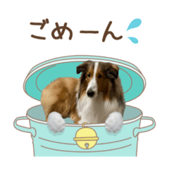 omochi_20220515182710