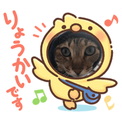 KanaiShun_20220515165635