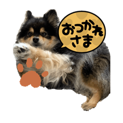 muachan1