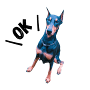 Dog Leon!
