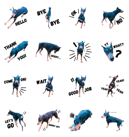 Dog Leon!