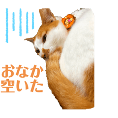 hana_20220515165102