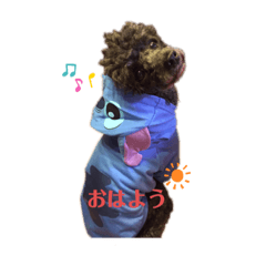 miki_20220515211924