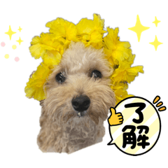 MIZUKI_20220515231737