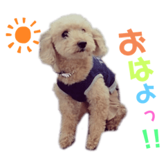 Rina_20220515231818