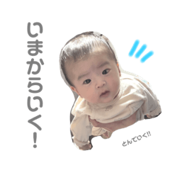 alice_20220516014908