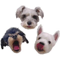 natsumi_20220516012119