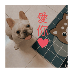 法鬥Gucci日常