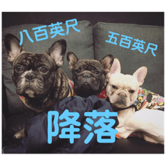 饅頭嚕嚕皮蛋包寶寶的忙碌人生