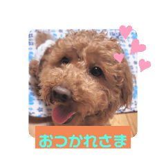 hanamama_20220516091013