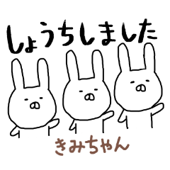 Kimichan rabbit