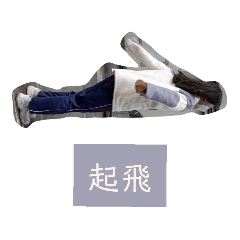 飛啊飛啊我的驕傲放縱