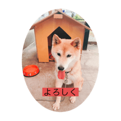 mitsuki_20220516130734