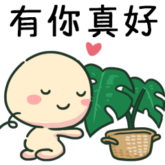 wan wan love plants