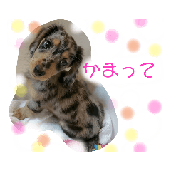 HONEY_20220516104538