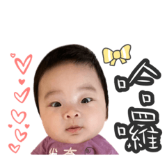 小胖果