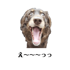ikemen_mokachan