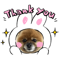 suzu_20220517000259