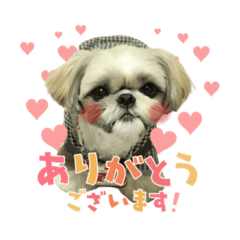 YUMU_20220516195358