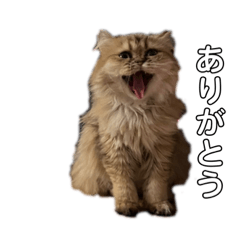 。。…。。。。。