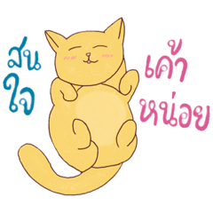 Cats rule the world..