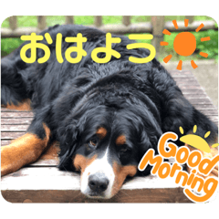 yuka_20220516190748