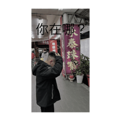 實用行貼圖❤️