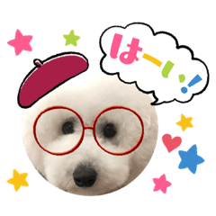 Yuka_20220517140355