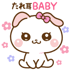 ❤️甘えん坊の「たれ耳BABY」