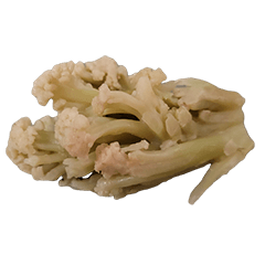 Food Series : Some Cauliflower