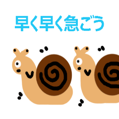 The snailn