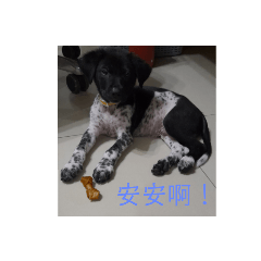 大家好我是Lucky