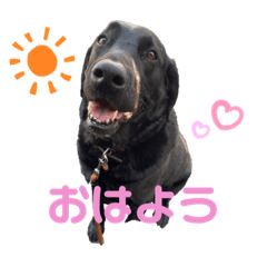 mizuki_20220517080902